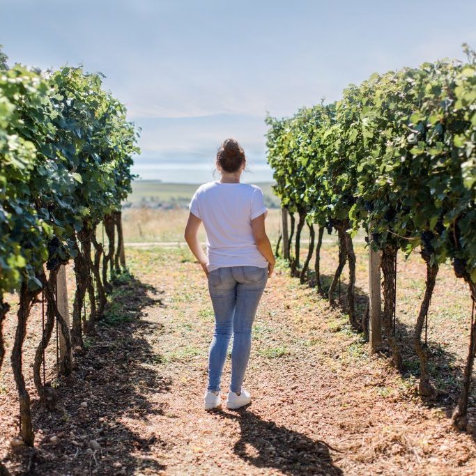 Ausblick-Unger-Johanna-Weiden